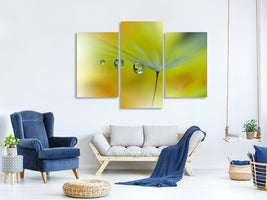 3-piece-canvas-print-sunbeam-iii
