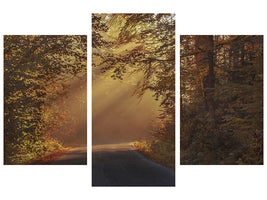 modern-4-piece-canvas-print-sunbeams-in-the-forest