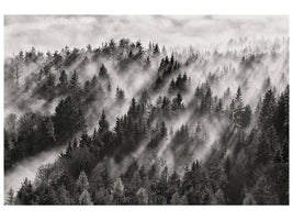 5-piece-canvas-print-sundance-no-i