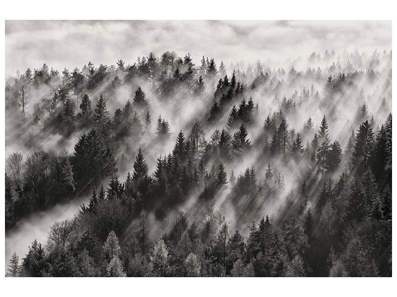 5-piece-canvas-print-sundance-no-i