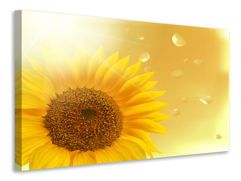 5-piece-canvas-print-sunflower-in-morning-dew