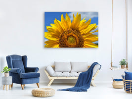 canvas-print-sunflower-in-xxl