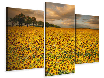 4-piece-canvas-print-sunflowers