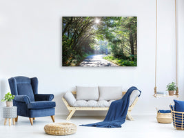 5-piece-canvas-print-sunny-forest-path