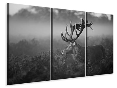 canvas-print-sunny-morning