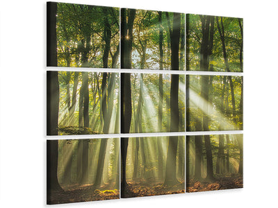 canvas-print-sunny-start-to-the-day