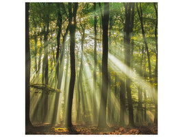 4-piece-canvas-print-sunny-start-to-the-day