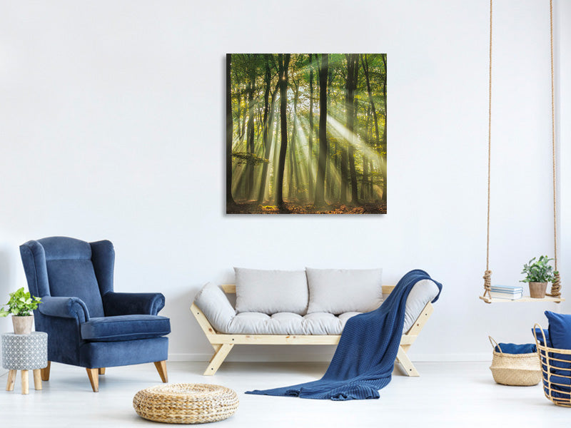 9-piece-canvas-print-sunny-start-to-the-day