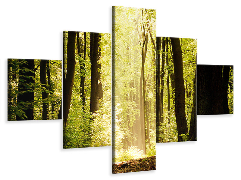 canvas-print-sunrise-in-the-forest