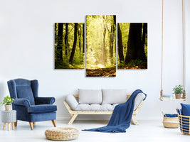 5-piece-canvas-print-sunrise-in-the-forest