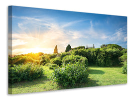 4-piece-canvas-print-sunrise-in-the-park