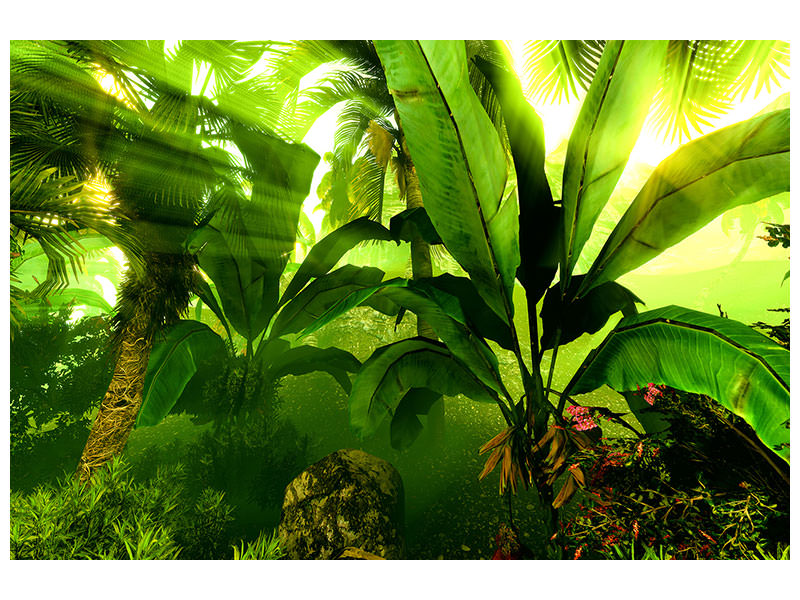 5-piece-canvas-print-sunrise-in-the-rainforest