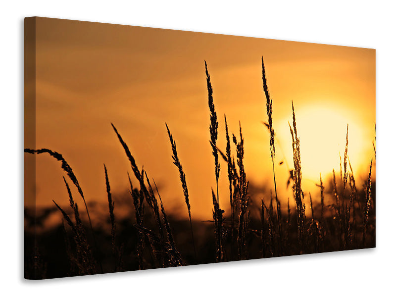 3-piece-canvas-print-sunrise-on-the-field