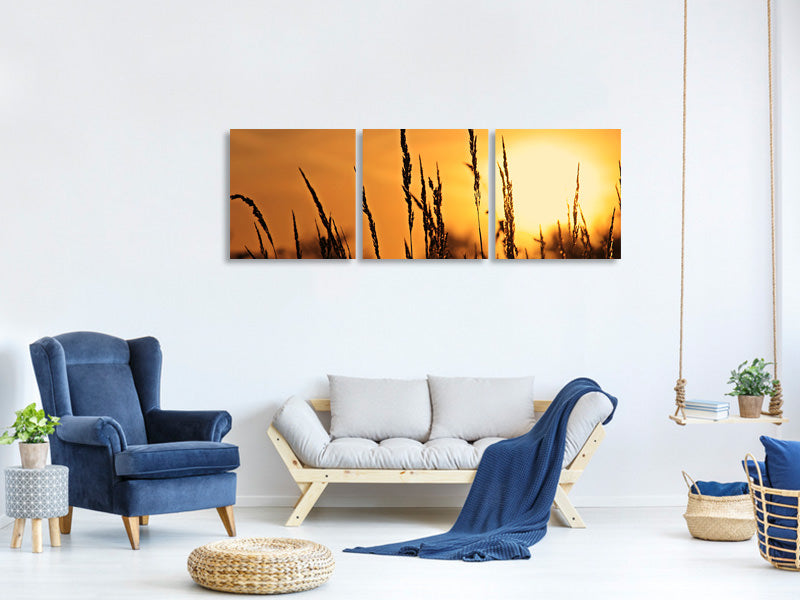 3-piece-canvas-print-sunrise-on-the-field