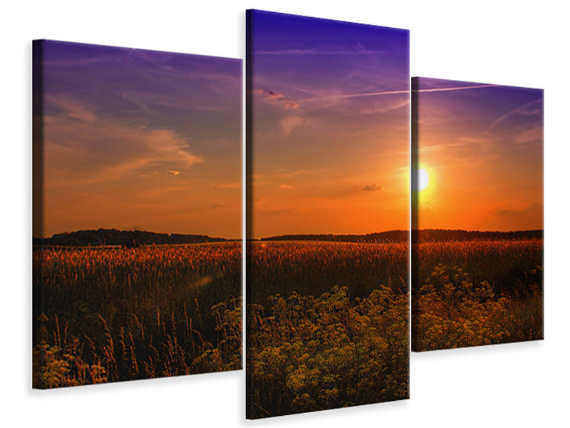 3-piece-canvas-print-sunset-at-the-flower-field