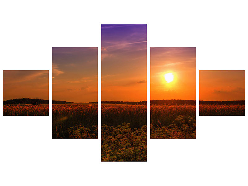 4-piece-canvas-print-sunset-at-the-flower-field