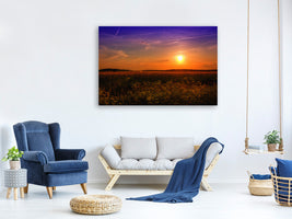 modern-4-piece-canvas-print-sunset-at-the-flower-field