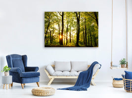 panoramic-canvas-print-sunset-between-trees