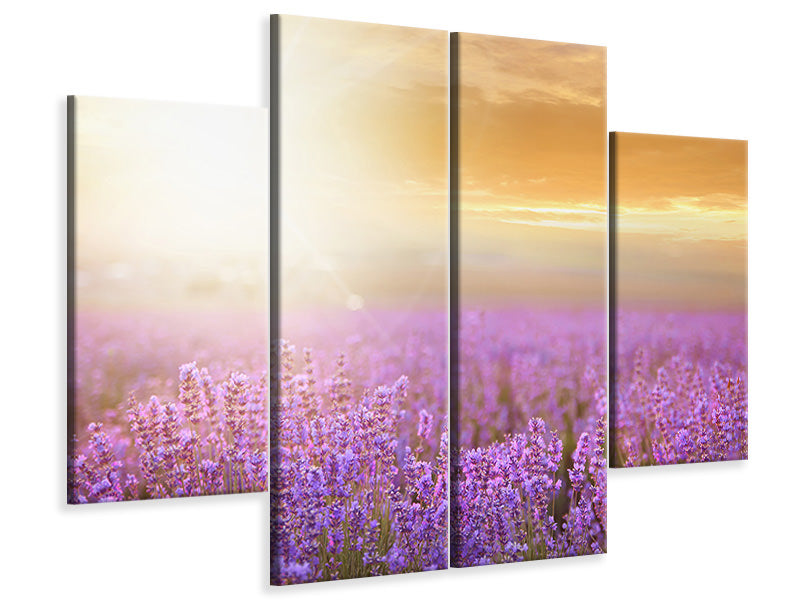 panoramic-canvas-print-sunset-in-lavender-field