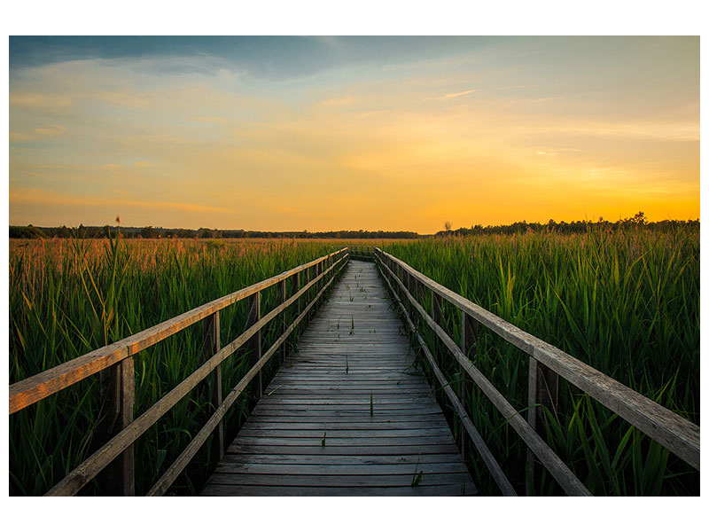 3-piece-canvas-print-sunset-in-the-fields