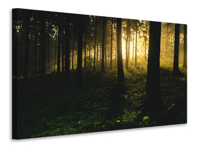 3-piece-canvas-print-sunset-in-the-forest