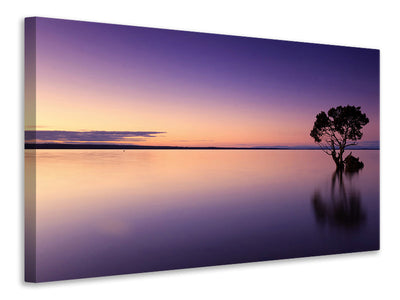 panoramic-3-piece-canvas-print-sunset-on-the-tree-in-the-water