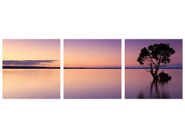 panoramic-canvas-print-sunset-on-the-tree-in-the-water