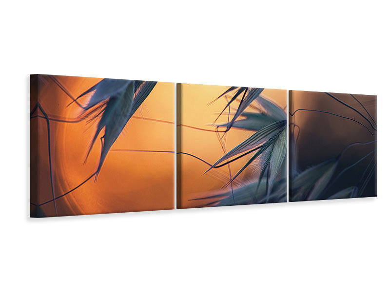 canvas-print-sunset-p