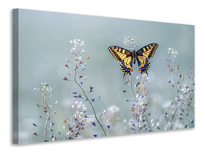 modern-3-piece-canvas-print-swallowtail-beauty