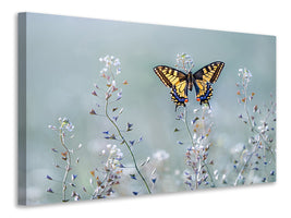 3-piece-canvas-print-swallowtail-beauty