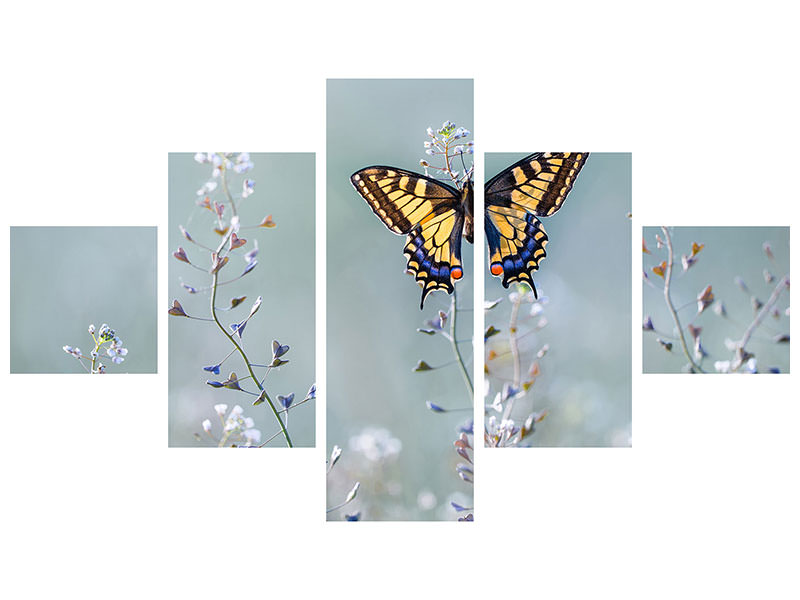 3-piece-canvas-print-swallowtail-beauty