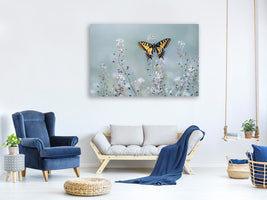 5-piece-canvas-print-swallowtail-beauty