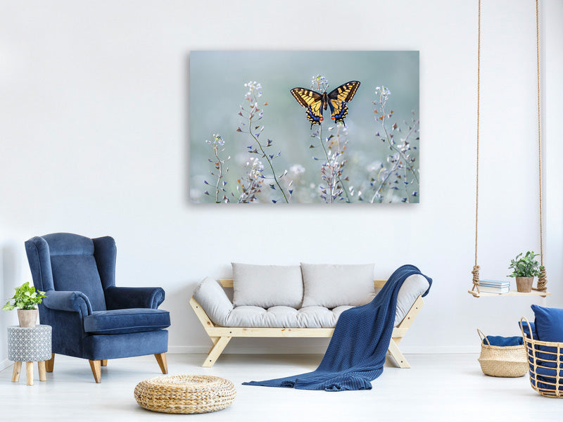 modern-3-piece-canvas-print-swallowtail-beauty