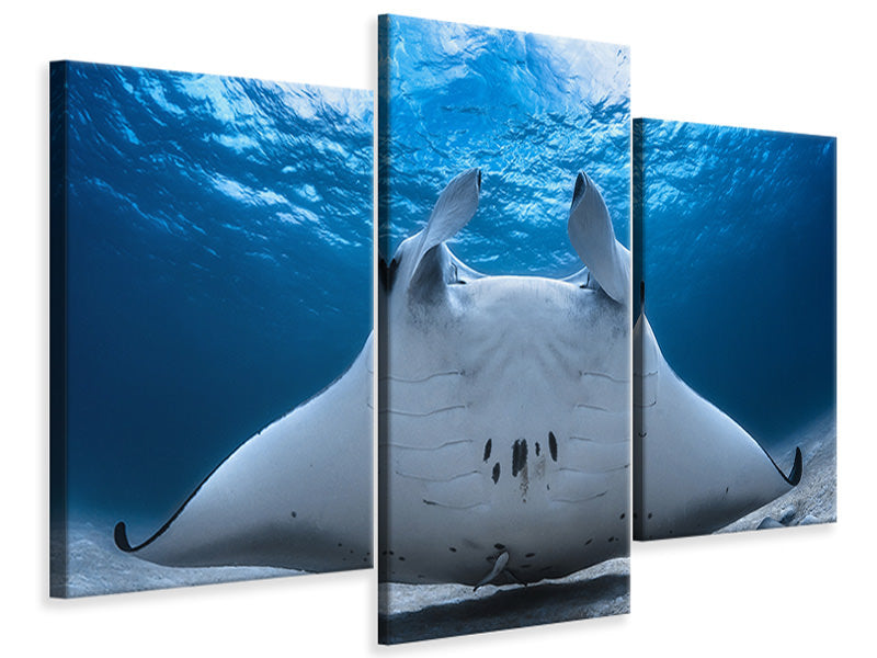 5-piece-canvas-print-take-off-manta-airline