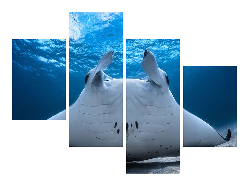 canvas-print-take-off-manta-airline