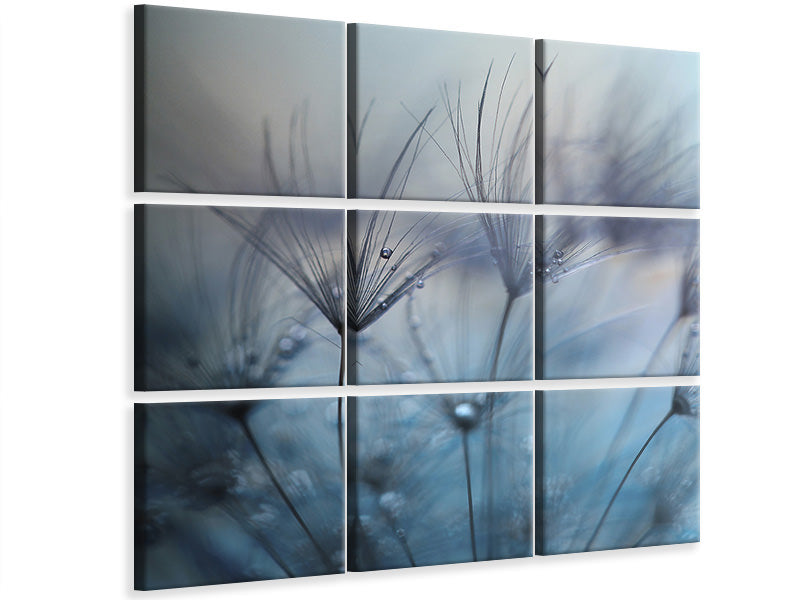canvas-print-teardrops