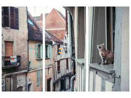 4-piece-canvas-print-territory