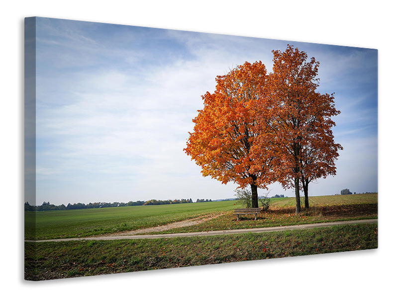 3-piece-canvas-print-the-3-trees