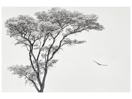 4-piece-canvas-print-the-african-eagle