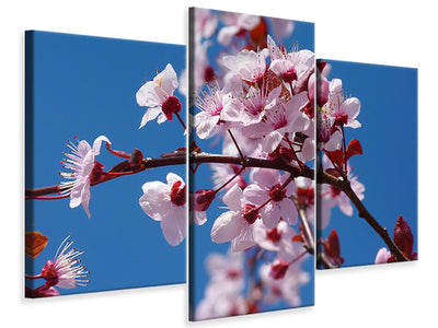 5-piece-canvas-print-the-almond-blossom