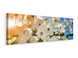 panoramic-3-piece-canvas-print-the-apple-tree-blossom