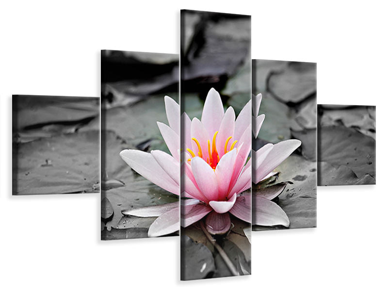 panoramic-3-piece-canvas-print-the-art-of-water-lily