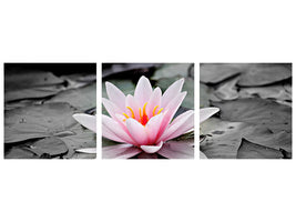 modern-3-piece-canvas-print-the-art-of-water-lily
