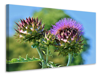 modern-3-piece-canvas-print-the-artichoke-xl