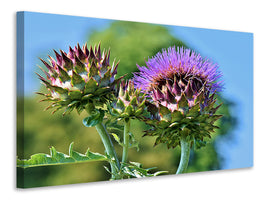 4-piece-canvas-print-the-artichoke-xl
