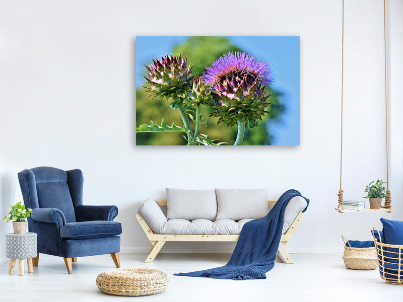 5-piece-canvas-print-the-artichoke-xl