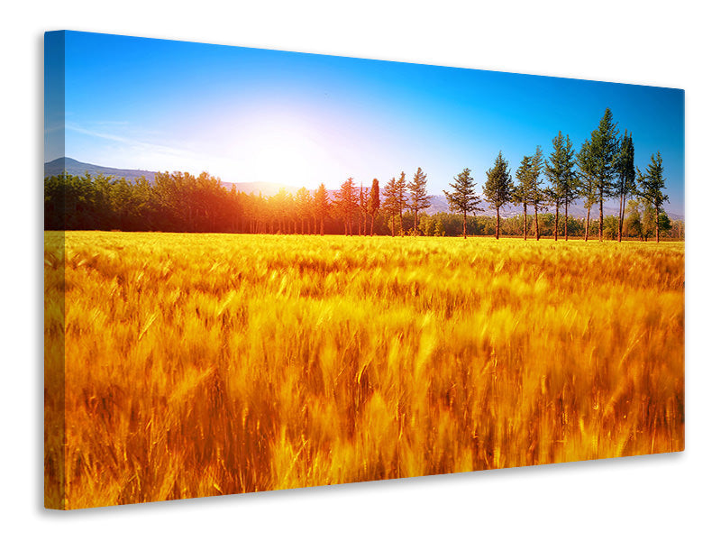 4-piece-canvas-print-the-autumn
