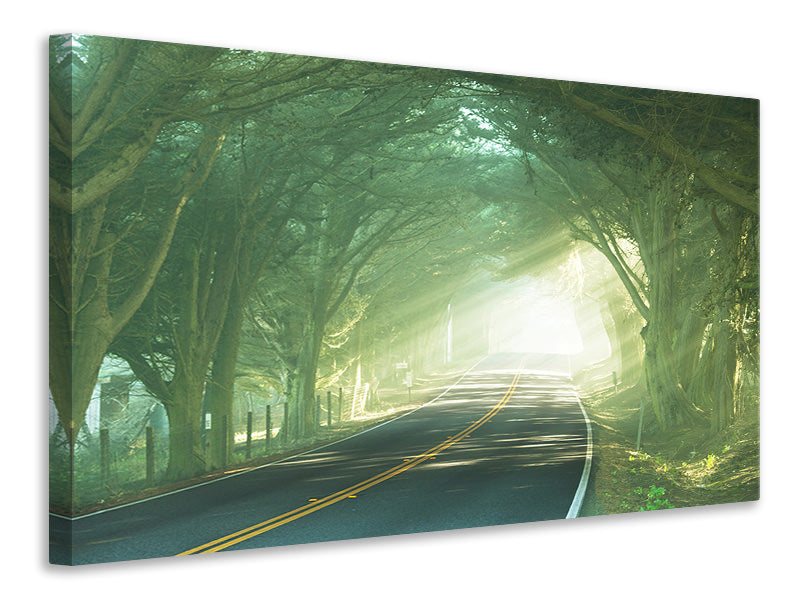 4-piece-canvas-print-the-avenue