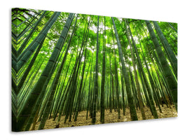 5-piece-canvas-print-the-bamboo-forest