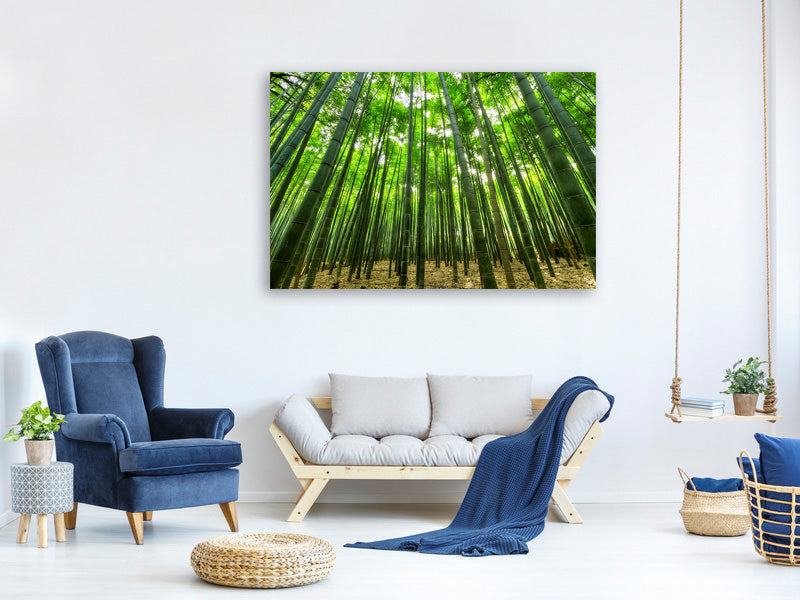 3-piece-canvas-print-the-bamboo-forest